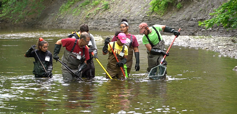 Students in River for Freshwater and Marine Biology Class