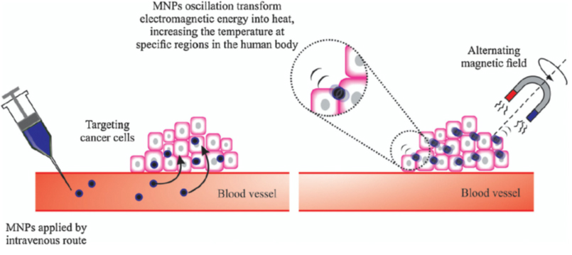 Nano Particles