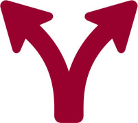 arrows